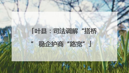 叶县：司法调解“搭桥” 稳企护商“路宽”
