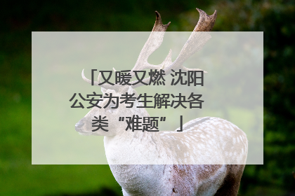 又暖又燃 沈阳公安为考生解决各类“难题”