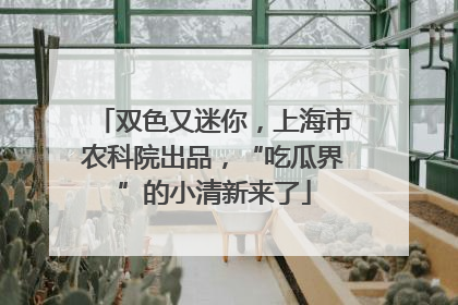 双色又迷你，上海市农科院出品，“吃瓜界”的小清新来了