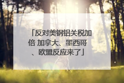 反对美钢铝关税加倍 加拿大、墨西哥、欧盟反应来了