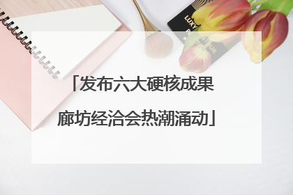 发布六大硬核成果 廊坊经洽会热潮涌动