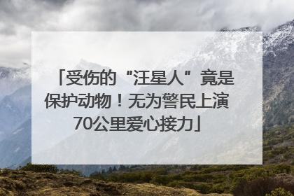 受伤的“汪星人”竟是保护动物！无为警民上演70公里爱心接力