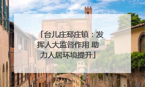 台儿庄邳庄镇：发挥人大监督作用 助力人居环境提升