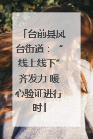 台前县凤台街道：“线上线下”齐发力 暖心验证进行时