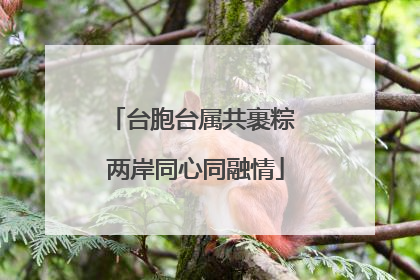 台胞台属共裹粽 两岸同心同融情