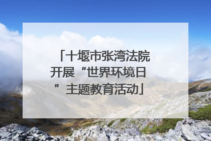 十堰市张湾法院开展“世界环境日”主题教育活动