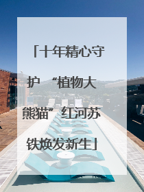十年精心守护 “植物大熊猫”红河苏铁焕发新生