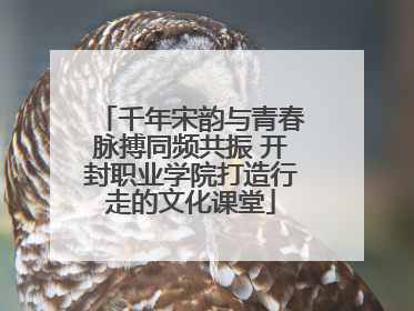 千年宋韵与青春脉搏同频共振 开封职业学院打造行走的文化课堂