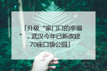 升级“家门口的幸福”，武汉今年已新改建70座口袋公园