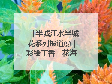 半城江水半城花系列报道⑤｜彩绘丁香：花海映照一座城