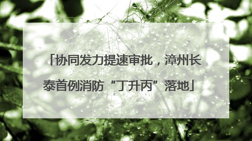 协同发力提速审批，漳州长泰首例消防“丁升丙”落地