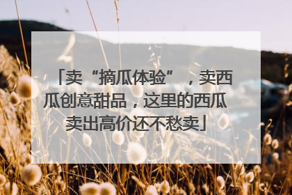 卖“摘瓜体验”，卖西瓜创意甜品，这里的西瓜卖出高价还不愁卖