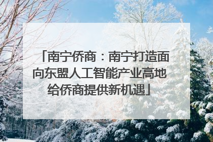 南宁侨商：南宁打造面向东盟人工智能产业高地给侨商提供新机遇