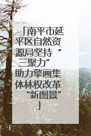 南平市延平区自然资源局坚持“三聚力” 助力擎画集体林权改革“新图景”