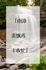 南漳：麦飘香 丰收忙