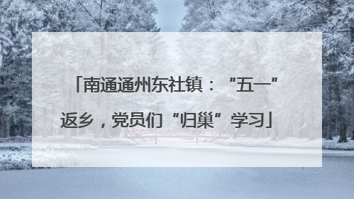 南通通州东社镇：“五一”返乡，党员们“归巢”学习
