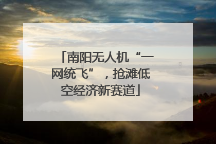 南阳无人机“一网统飞”，抢滩低空经济新赛道