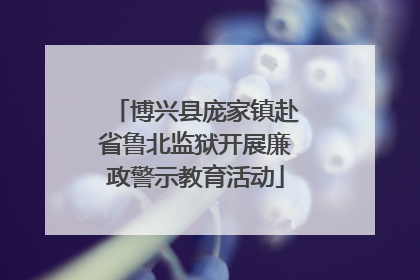 博兴县庞家镇赴省鲁北监狱开展廉政警示教育活动