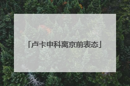 卢卡申科离京前表态