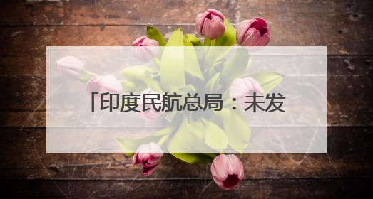 印度民航总局：未发现印航波音787机队存在重大安全问题