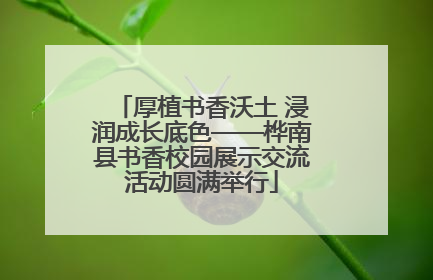 厚植书香沃土 浸润成长底色——桦南县书香校园展示交流活动圆满举行