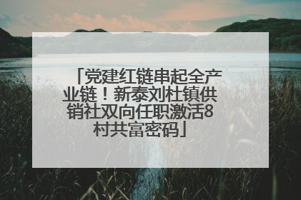 党建红链串起全产业链！新泰刘杜镇供销社双向任职激活8村共富密码