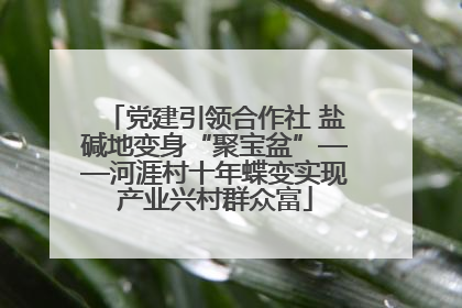 党建引领合作社 盐碱地变身“聚宝盆”——河涯村十年蝶变实现产业兴村群众富