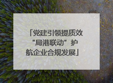 党建引领提质效 “局港联动”护航企业合规发展