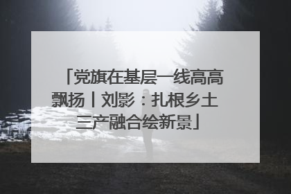 党旗在基层一线高高飘扬丨刘影：扎根乡土 三产融合绘新景