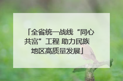 全省统一战线“同心共富”工程 助力民族地区高质量发展