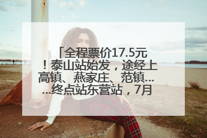 全程票价17.5元！泰山站始发，途经上高镇、燕家庄、范镇……终点站东营站，7月1日开通！