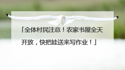 全体村民注意！农家书屋全天开放，快把娃送来写作业！