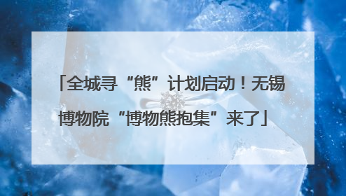 全城寻“熊”计划启动！无锡博物院“博物熊抱集”来了