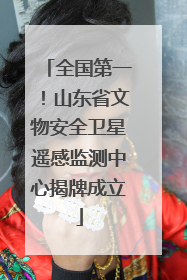 全国第一！山东省文物安全卫星遥感监测中心揭牌成立
