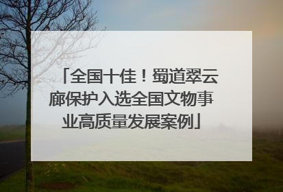 全国十佳！蜀道翠云廊保护入选全国文物事业高质量发展案例