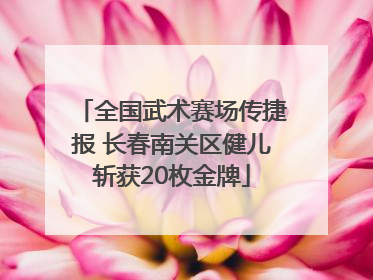 全国武术赛场传捷报 长春南关区健儿斩获20枚金牌