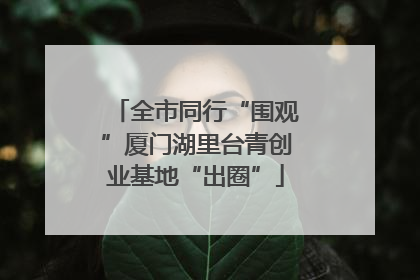 全市同行“围观”厦门湖里台青创业基地“出圈”