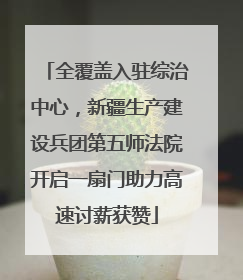 全覆盖入驻综治中心，新疆生产建设兵团第五师法院开启一扇门助力高速讨薪获赞