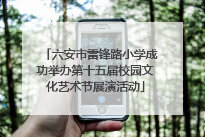 六安市雷锋路小学成功举办第十五届校园文化艺术节展演活动