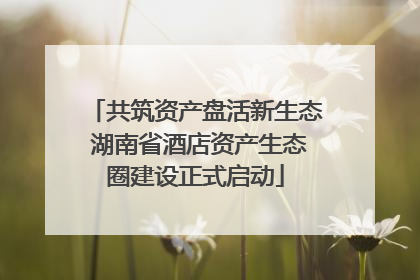 共筑资产盘活新生态 湖南省酒店资产生态圈建设正式启动