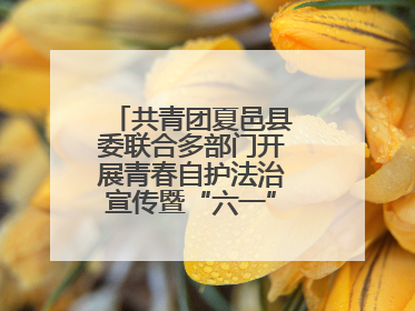 共青团夏邑县委联合多部门开展青春自护法治宣传暨“六一”主题日活动