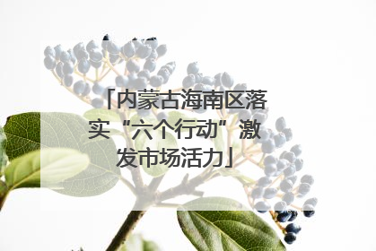 内蒙古海南区落实“六个行动”激发市场活力