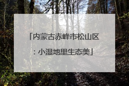 内蒙古赤峰市松山区：小湿地里生态美