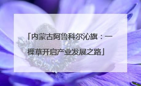 内蒙古阿鲁科尔沁旗：一棵草开启产业发展之路
