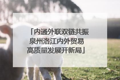 内通外联双链共振 泉州洛江内外贸易高质量发展开新局