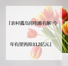 农村孤岛用电难有解 今年有望再投312亿元
