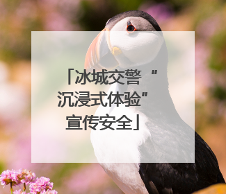 冰城交警“沉浸式体验”宣传安全