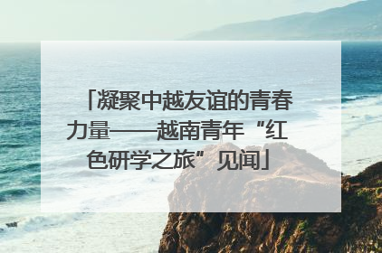 凝聚中越友谊的青春力量——越南青年“红色研学之旅”见闻