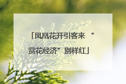 凤凰花开引客来 “赏花经济”别样红