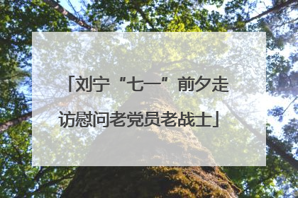 刘宁“七一”前夕走访慰问老党员老战士